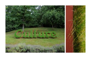 site-specific installation