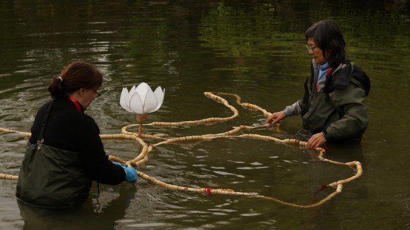 Photograph by Martin Borden