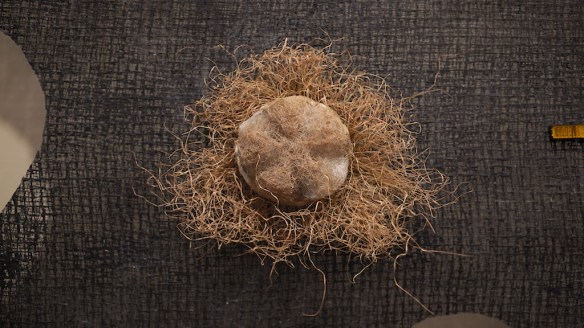 Oct 3 Brit Panel A grass head detail