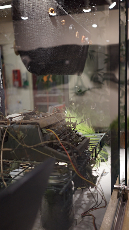 Oct 3 Brit Vitrine 1