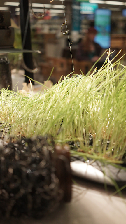 Oct 3 Brit vitrine hook detail