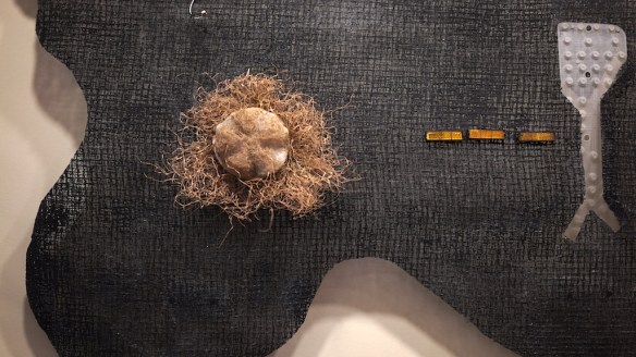 Oct 3 Panel A grass head close